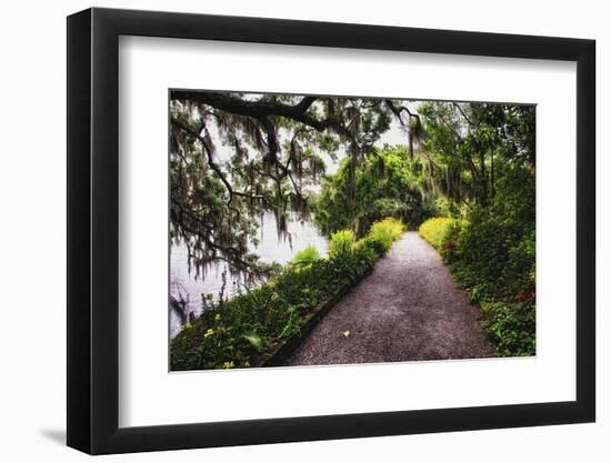 Low Country Walking Path, Charleston,SC-George Oze-Framed Photographic Print