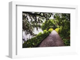 Low Country Walking Path, Charleston,SC-George Oze-Framed Photographic Print