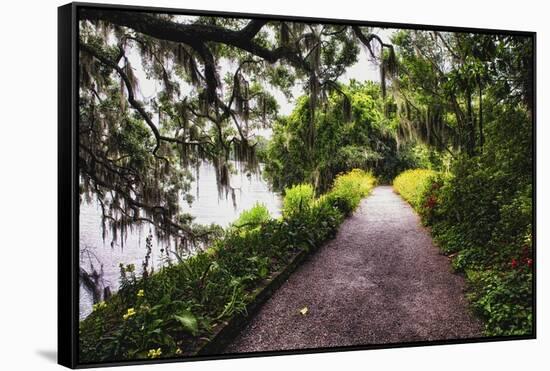 Low Country Walking Path, Charleston,SC-George Oze-Framed Stretched Canvas
