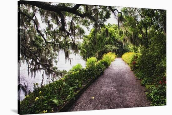 Low Country Walking Path, Charleston,SC-George Oze-Stretched Canvas