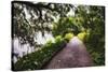 Low Country Walking Path, Charleston,SC-George Oze-Stretched Canvas