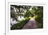 Low Country Walking Path, Charleston,SC-George Oze-Framed Photographic Print