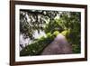 Low Country Walking Path, Charleston,SC-George Oze-Framed Photographic Print