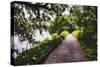 Low Country Walking Path, Charleston,SC-George Oze-Stretched Canvas