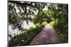 Low Country Walking Path, Charleston,SC-George Oze-Mounted Premium Photographic Print