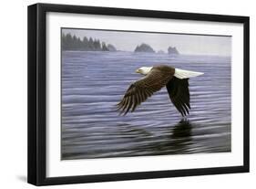 Low Flight Bald Eagle-Jeremy Paul-Framed Giclee Print