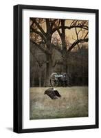 Low Flyer Bald Eagle-Jai Johnson-Framed Giclee Print