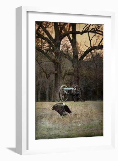 Low Flyer Bald Eagle-Jai Johnson-Framed Giclee Print