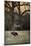 Low Flyer Bald Eagle-Jai Johnson-Mounted Giclee Print