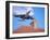 Low-Flying Aircraft Over Rooftops Near London Heathrow Airport, Greater London, England-Mark Mawson-Framed Photographic Print