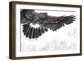 Low-Flying Eagle Illustration over Artistic Background, Made with Digital Tablet-outsiderzone-Framed Art Print