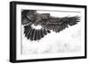Low-Flying Eagle Illustration over Artistic Background, Made with Digital Tablet-outsiderzone-Framed Art Print