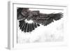 Low-Flying Eagle Illustration over Artistic Background, Made with Digital Tablet-outsiderzone-Framed Art Print