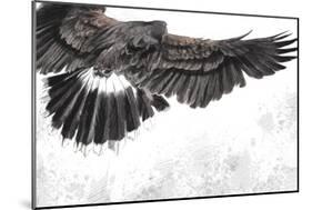 Low-Flying Eagle Illustration over Artistic Background, Made with Digital Tablet-outsiderzone-Mounted Art Print