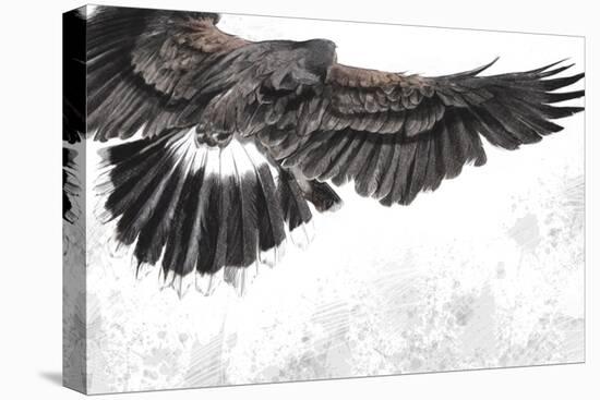 Low-Flying Eagle Illustration over Artistic Background, Made with Digital Tablet-outsiderzone-Stretched Canvas