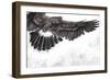 Low-Flying Eagle Illustration over Artistic Background, Made with Digital Tablet-outsiderzone-Framed Premium Giclee Print
