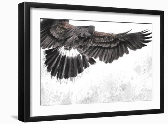 Low-Flying Eagle Illustration over Artistic Background, Made with Digital Tablet-outsiderzone-Framed Premium Giclee Print