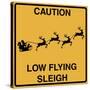 Low Flying Sleigh-Tina Lavoie-Stretched Canvas