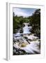 Low Force Waterfall, Teesdale, England, United Kingdom, Europe-David Gibbon-Framed Photographic Print