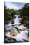 Low Force Waterfall, Teesdale, England, United Kingdom, Europe-David Gibbon-Stretched Canvas