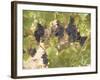 Low Hanging Fruit-George Johnson-Framed Photographic Print