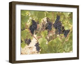 Low Hanging Fruit-George Johnson-Framed Photographic Print