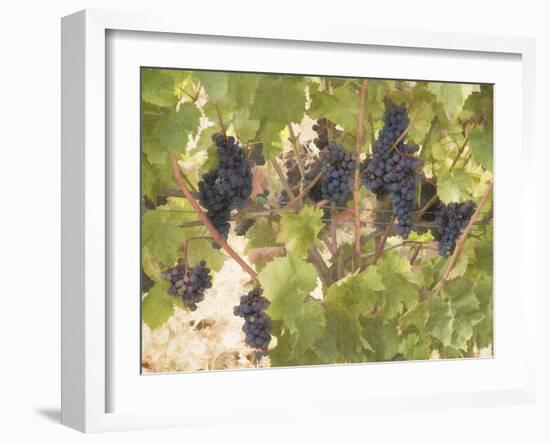 Low Hanging Fruit-George Johnson-Framed Photographic Print