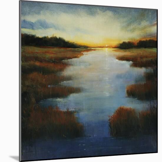 Low Land Reflection-Tim O'toole-Mounted Giclee Print