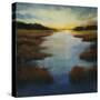 Low Land Reflection-Tim O'toole-Stretched Canvas
