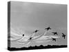Low Level Flat. Obomb Bursto RAF Aerobatics Team the Red Arrows, November 1969-null-Stretched Canvas