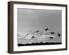 Low Level Flat. Obomb Bursto RAF Aerobatics Team the Red Arrows, November 1969-null-Framed Photographic Print