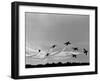 Low Level Flat. Obomb Bursto RAF Aerobatics Team the Red Arrows, November 1969-null-Framed Photographic Print