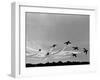 Low Level Flat. Obomb Bursto RAF Aerobatics Team the Red Arrows, November 1969-null-Framed Photographic Print