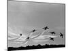 Low Level Flat. Obomb Bursto RAF Aerobatics Team the Red Arrows, November 1969-null-Mounted Photographic Print