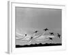 Low Level Flat. Obomb Bursto RAF Aerobatics Team the Red Arrows, November 1969-null-Framed Photographic Print