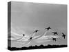 Low Level Flat. Obomb Bursto RAF Aerobatics Team the Red Arrows, November 1969-null-Stretched Canvas