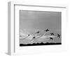 Low Level Flat. Obomb Bursto RAF Aerobatics Team the Red Arrows, November 1969-null-Framed Photographic Print