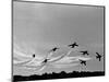 Low Level Flat. Obomb Bursto RAF Aerobatics Team the Red Arrows, November 1969-null-Mounted Photographic Print