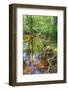 Low Point of View along Stream Running through Forest with Deep Vibrant Colors-Veneratio-Framed Photographic Print