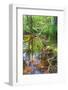 Low Point of View along Stream Running through Forest with Deep Vibrant Colors-Veneratio-Framed Photographic Print