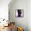 Low Poly Abstract Portrait of a Black Girl-musicman-Framed Stretched Canvas displayed on a wall