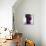 Low Poly Abstract Portrait of a Black Girl-musicman-Stretched Canvas displayed on a wall