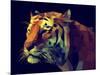 Low Poly Design. Tiger Illustration.-Kundra-Mounted Art Print