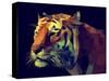 Low Poly Design. Tiger Illustration.-Kundra-Stretched Canvas