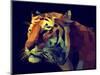 Low Poly Design. Tiger Illustration.-Kundra-Mounted Art Print