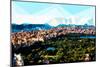 Low Poly New York Art - Central Park Panoramic-Philippe Hugonnard-Mounted Premium Giclee Print