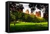 Low Poly New York Art - Central Park Summer-Philippe Hugonnard-Framed Stretched Canvas