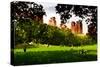Low Poly New York Art - Central Park Summer-Philippe Hugonnard-Stretched Canvas