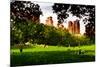 Low Poly New York Art - Central Park Summer-Philippe Hugonnard-Mounted Art Print