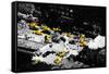 Low Poly New York Art - Taxi Cabs-Philippe Hugonnard-Framed Stretched Canvas